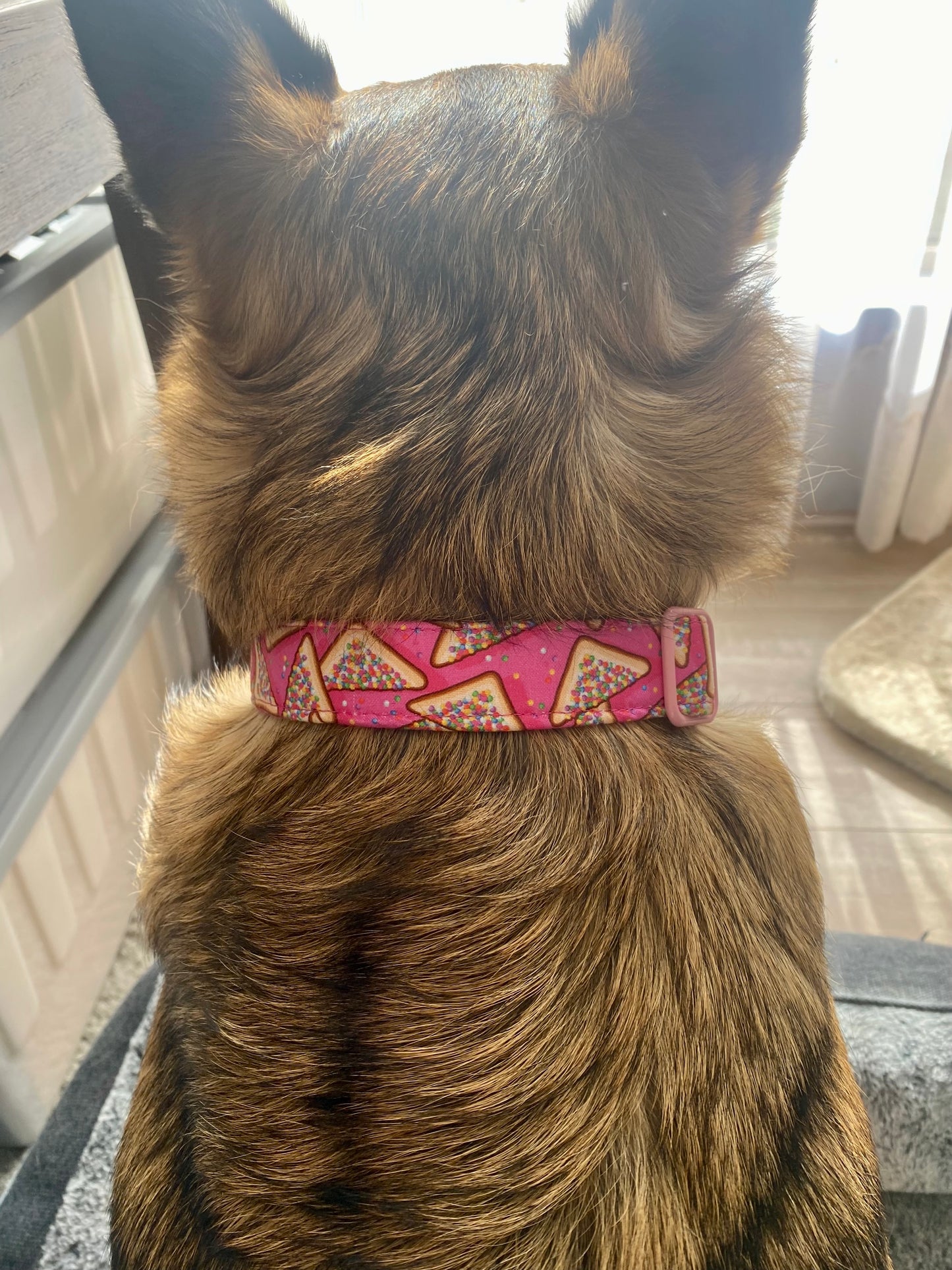 Fairy Bread Dog Collar