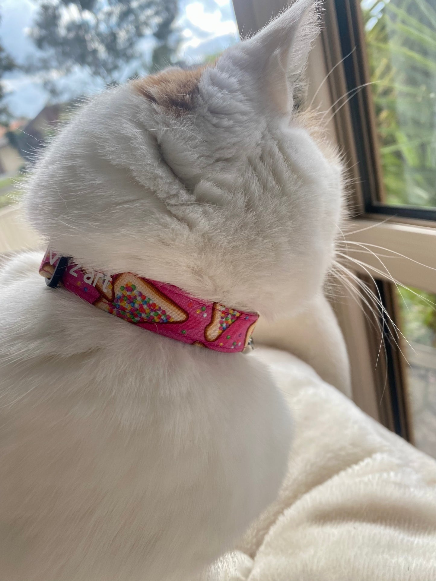 Fairy Bread Cat Collar