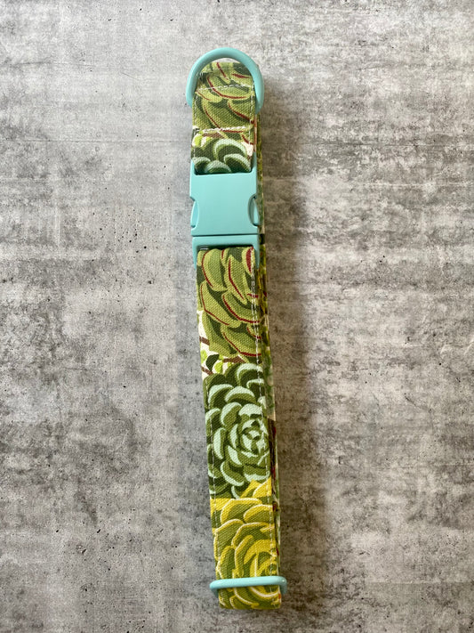 Succulent Dog Collar