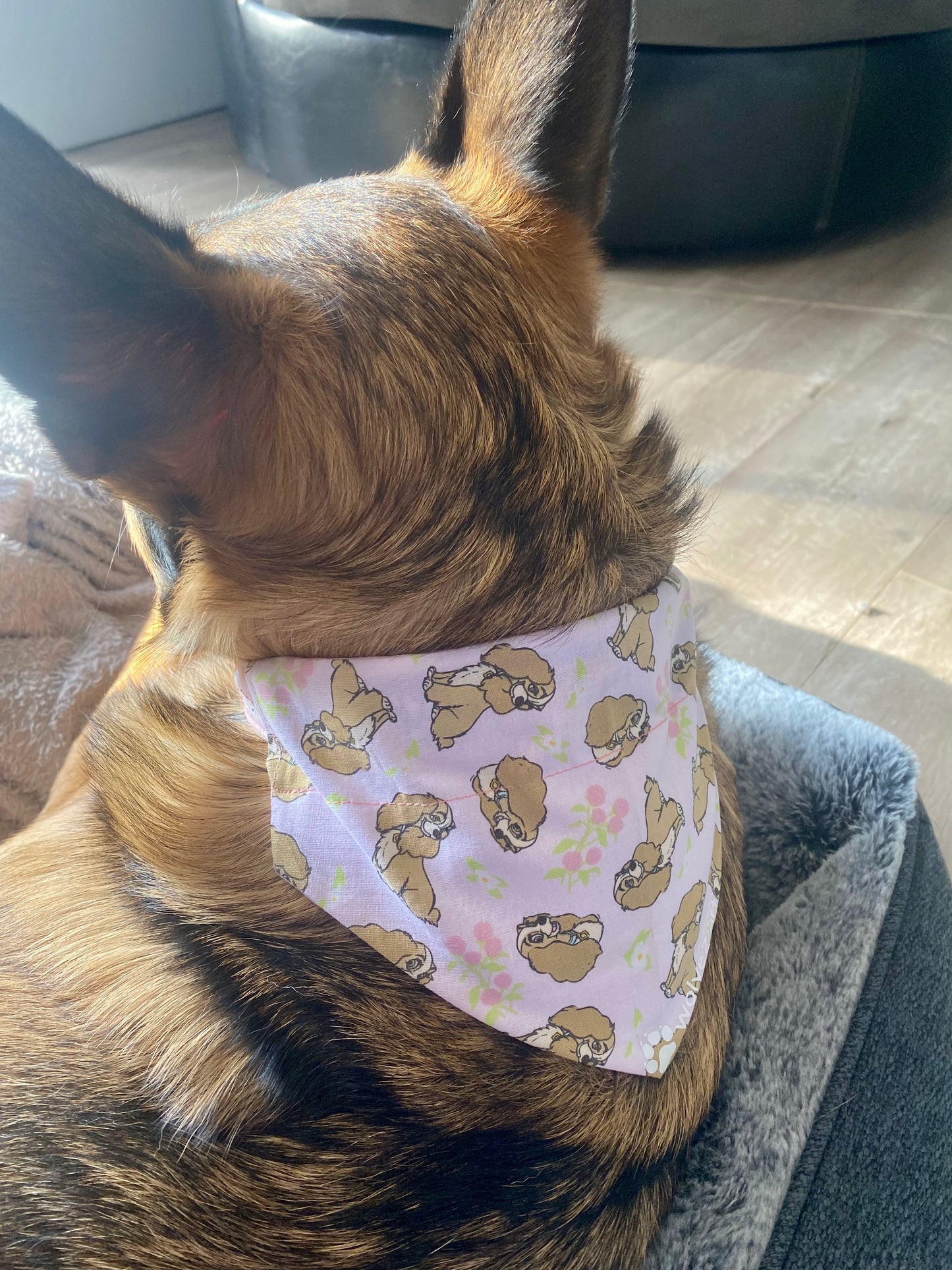 Lady Bandana