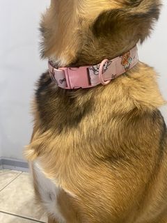 Pink Cat Dog Collar