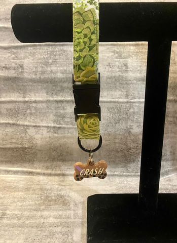 Succulent Dog Collar